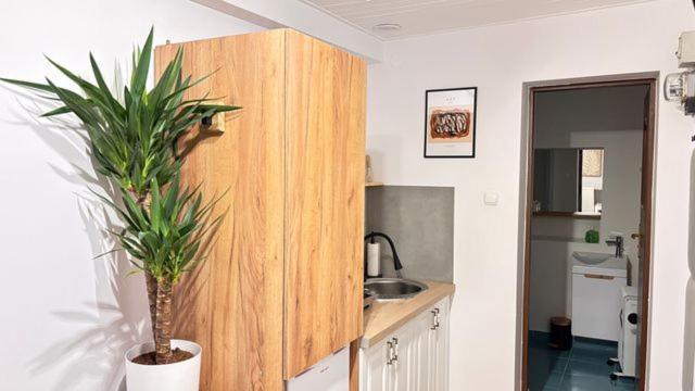 Apartament Boho Stare Miasto Nowy Sącz Eksteriør bilde