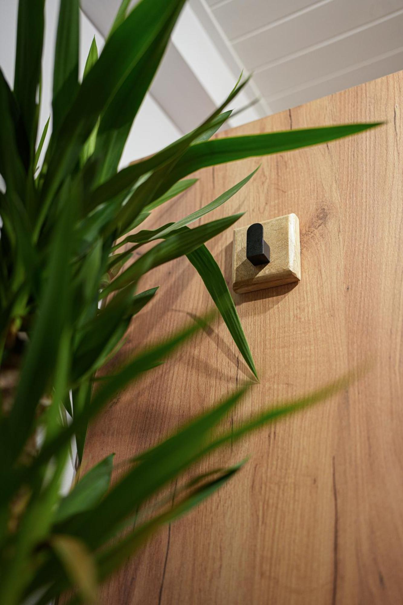 Apartament Boho Stare Miasto Nowy Sącz Eksteriør bilde